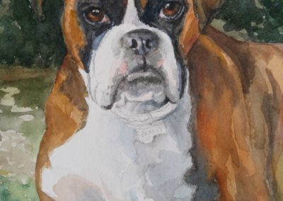 affordable-dog-portrait